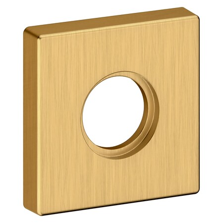 Baldwin Half Dummy Rosettes Lifetime Satin Brass 5056.044.IDM